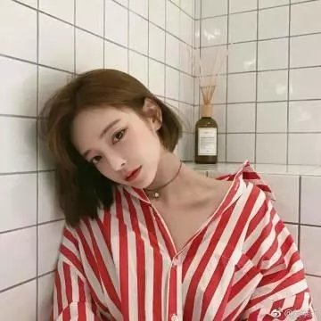 诱惑的港湾